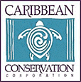 Caribbean Conservation Corp.